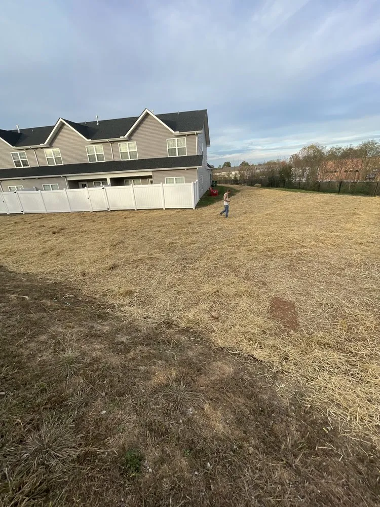 Affordable garden landscaping for year-round maintenance in Knoxville, TN by Savior Turf Management and Landscaping