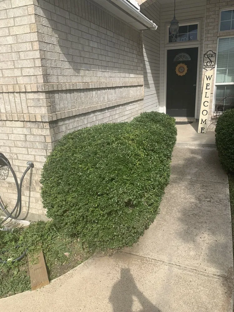 Professional landscape installation for residential properties in Copperas Cove, TX by Savola Lawn Care