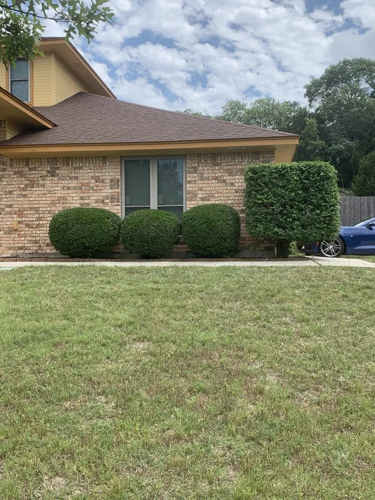 Affordable outdoor landscaping in Copperas Cove, TX by Savola Lawn Care