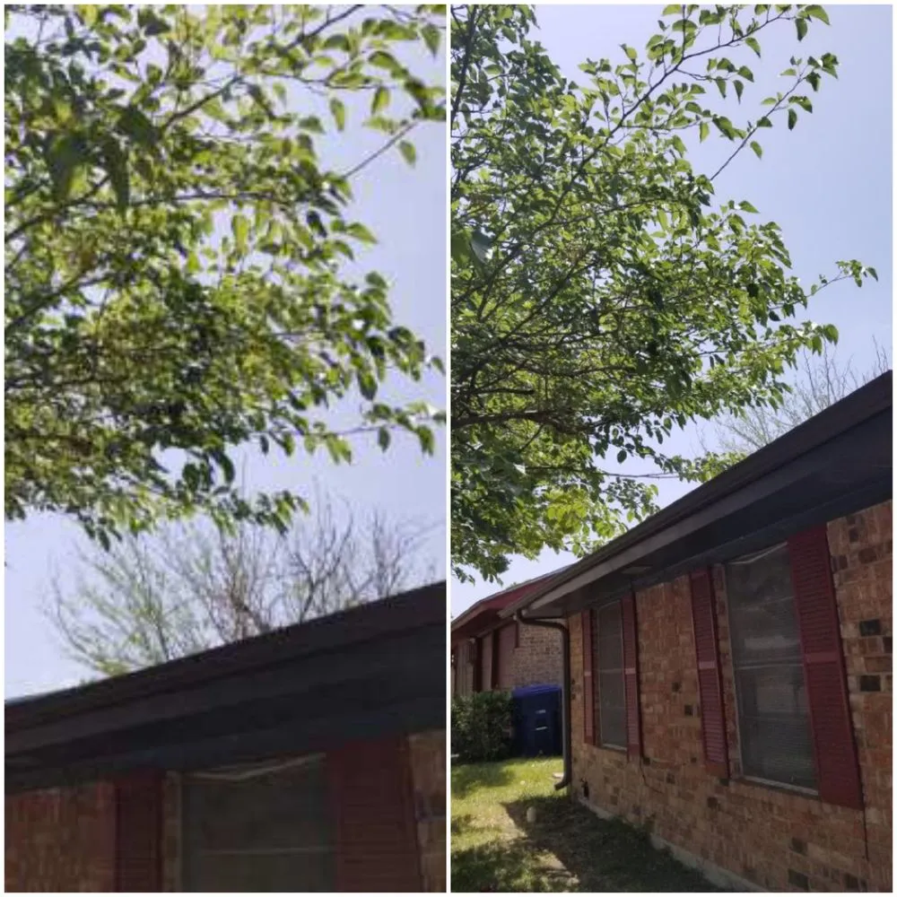 Custom landscape installation in Copperas Cove, TX by Savola Lawn Care