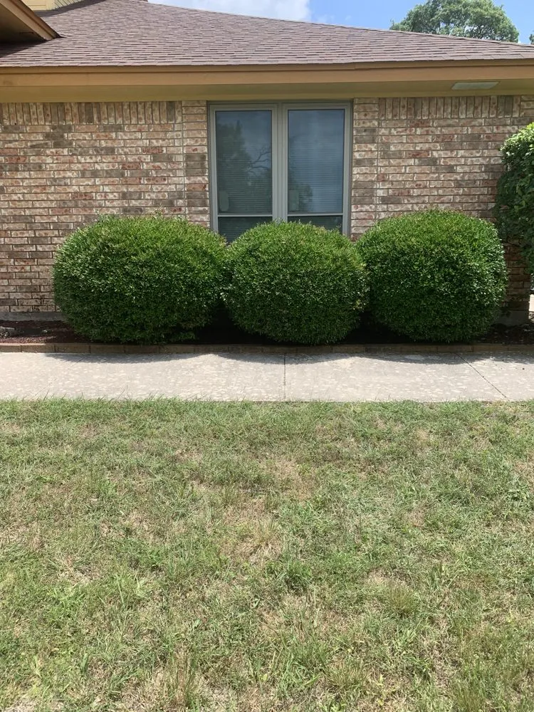 Custom landscaping services in Copperas Cove, TX by Savola Lawn Care