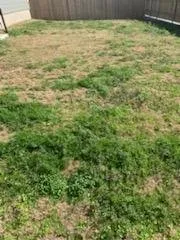 Trusted landscape design for beautiful yards across Copperas Cove, TX - Savola Lawn Care