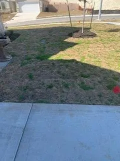 Affordable yard cleanup service for homes across Copperas Cove, TX - Savola Lawn Care