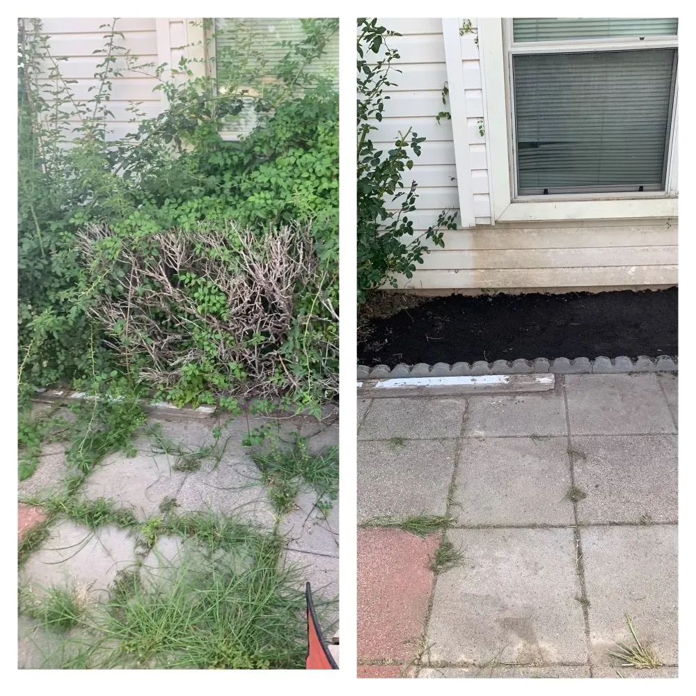 Expert landscape installation near you in Copperas Cove, TX by Savola Lawn Care