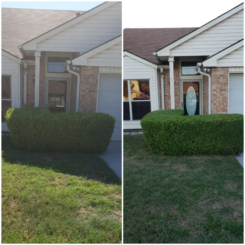 Affordable landscape installation experts serving Copperas Cove, TX - Savola Lawn Care