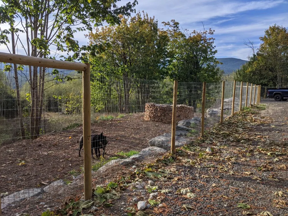 Professional landscape installation for year-round maintenance in Port Townsend, WA by Savory Landscaping