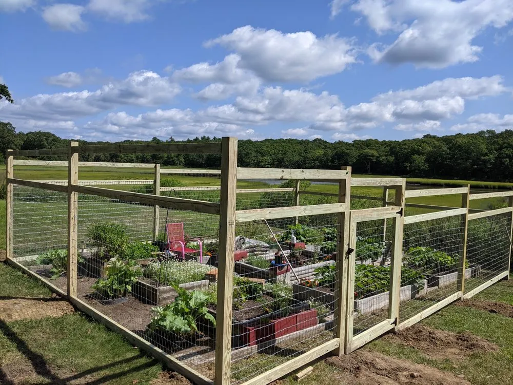 Custom lawn mowing service in Port Townsend, WA by Savory Landscaping