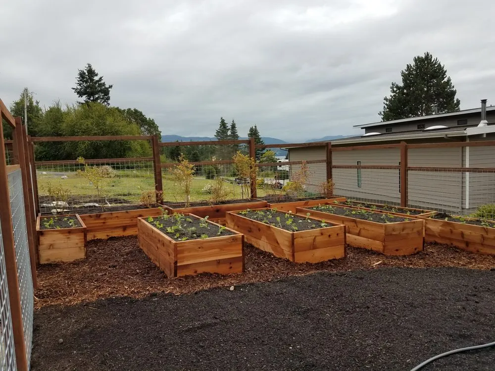 Custom yard cleanup service in Port Townsend, WA by Savory Landscaping