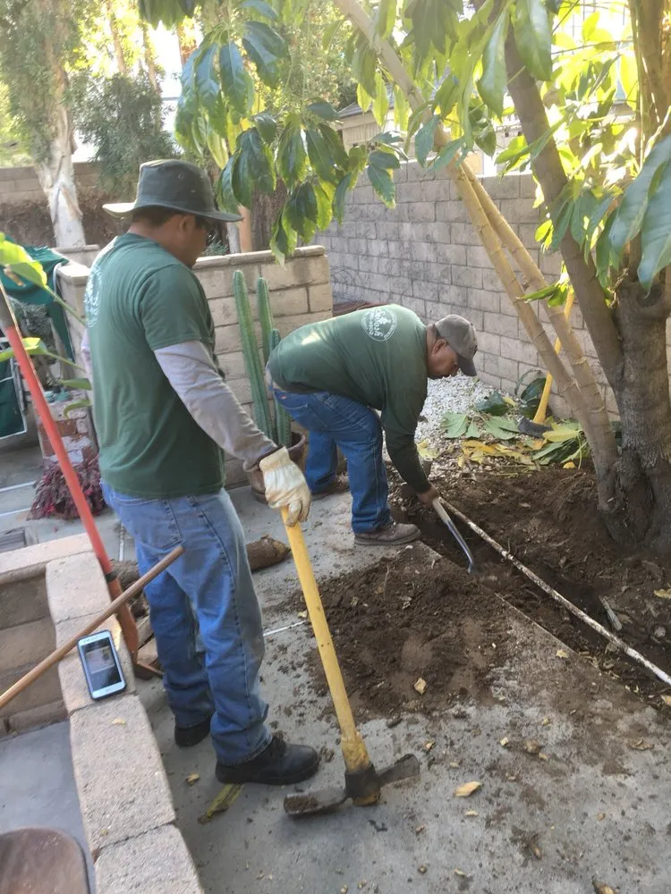 Affordable garden landscaping in Brea, CA - Savosh Tree & Landscape Service