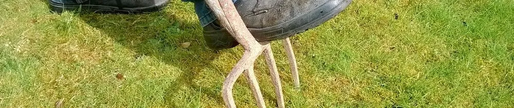 Top-rated landscape installation in Huntingtown, MD - Savoy Lawn Maintenance