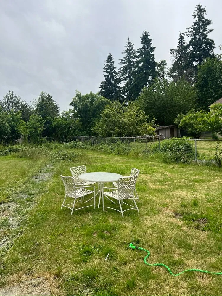 Trusted landscape design for beautiful yards across Federal Way, WA - Savvy Landscape & Design