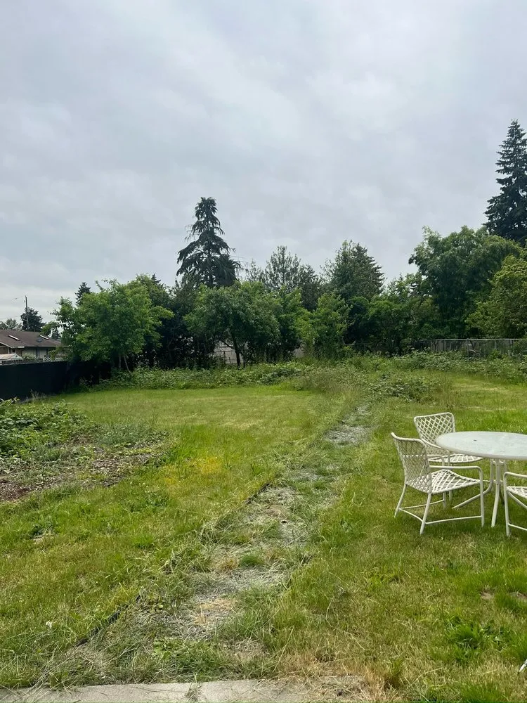 Top-rated landscape design for outdoor upgrades in Federal Way, WA by Savvy Landscape & Design