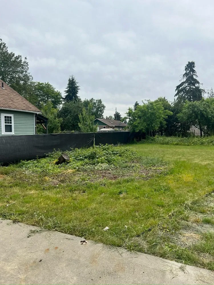 Local landscape design in Federal Way, WA by Savvy Landscape & Design