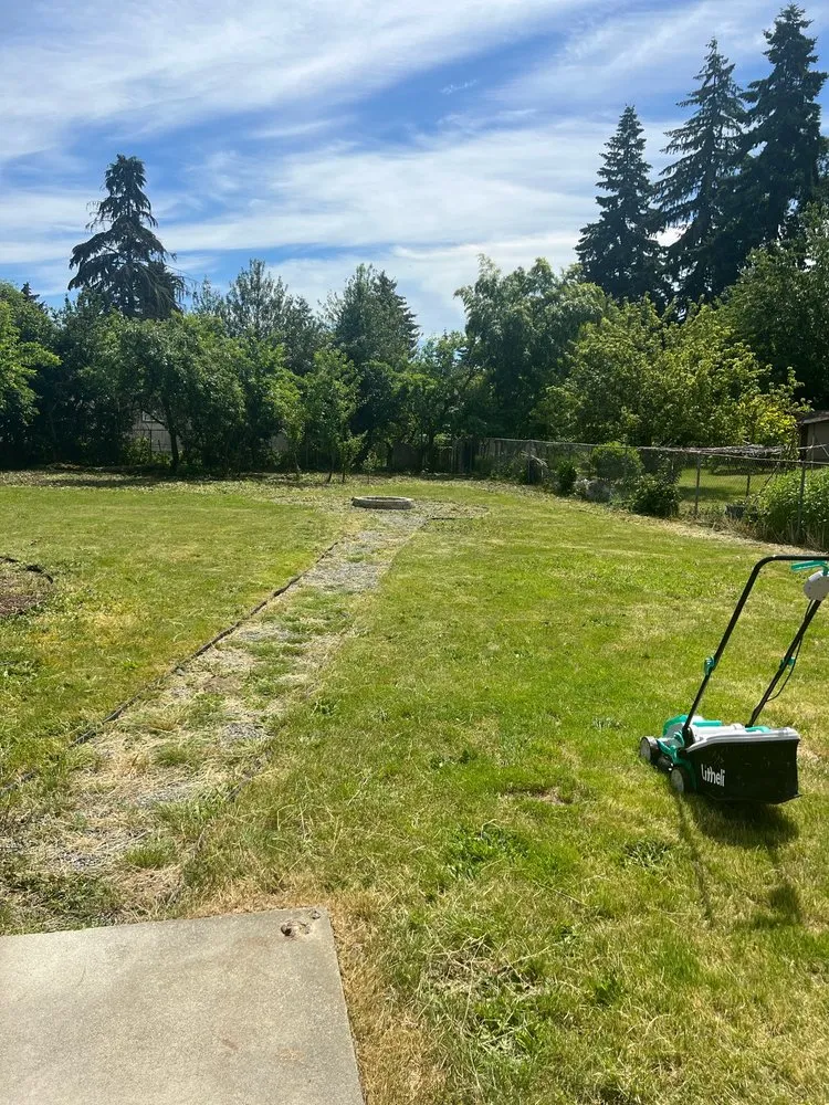 Affordable outdoor landscaping in Federal Way, WA by Savvy Landscape & Design