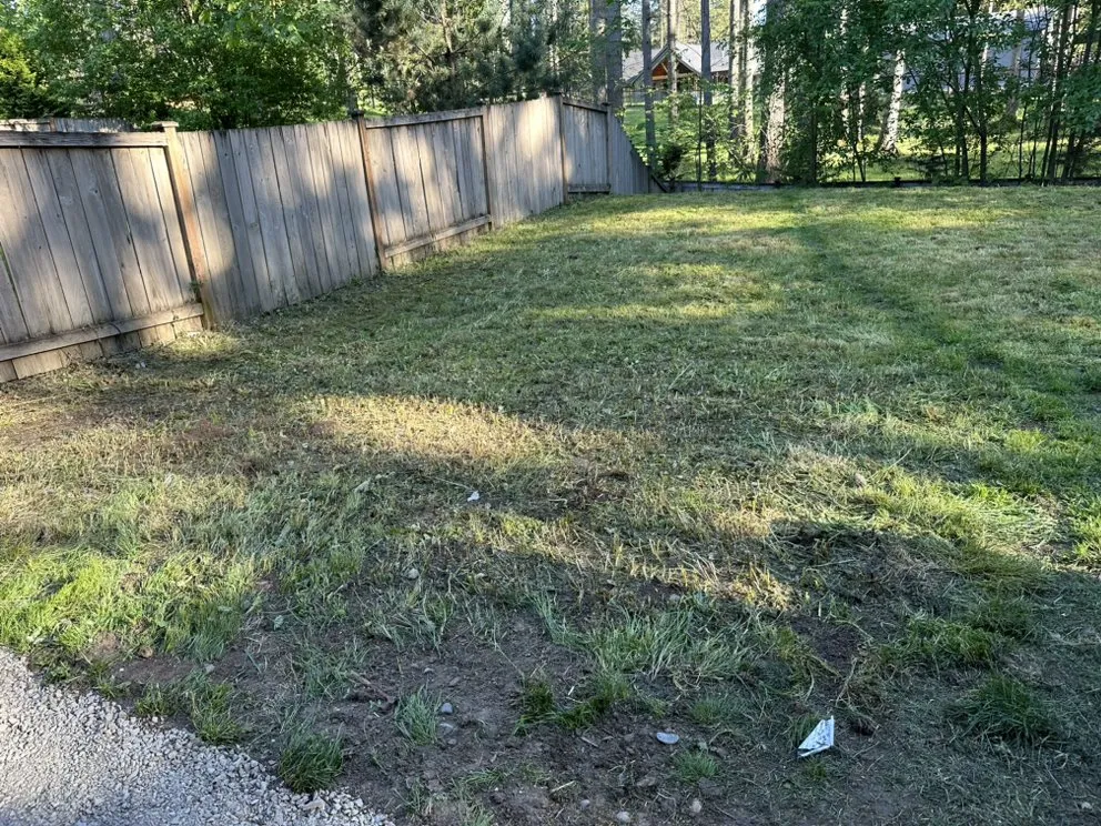 Top-rated landscaping services for outdoor upgrades across Federal Way, WA - Savvy Landscape & Design