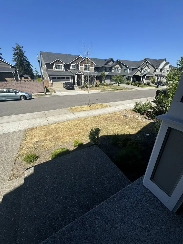 Local residential landscaping for residential properties in Federal Way, WA by Savvy Landscape & Design