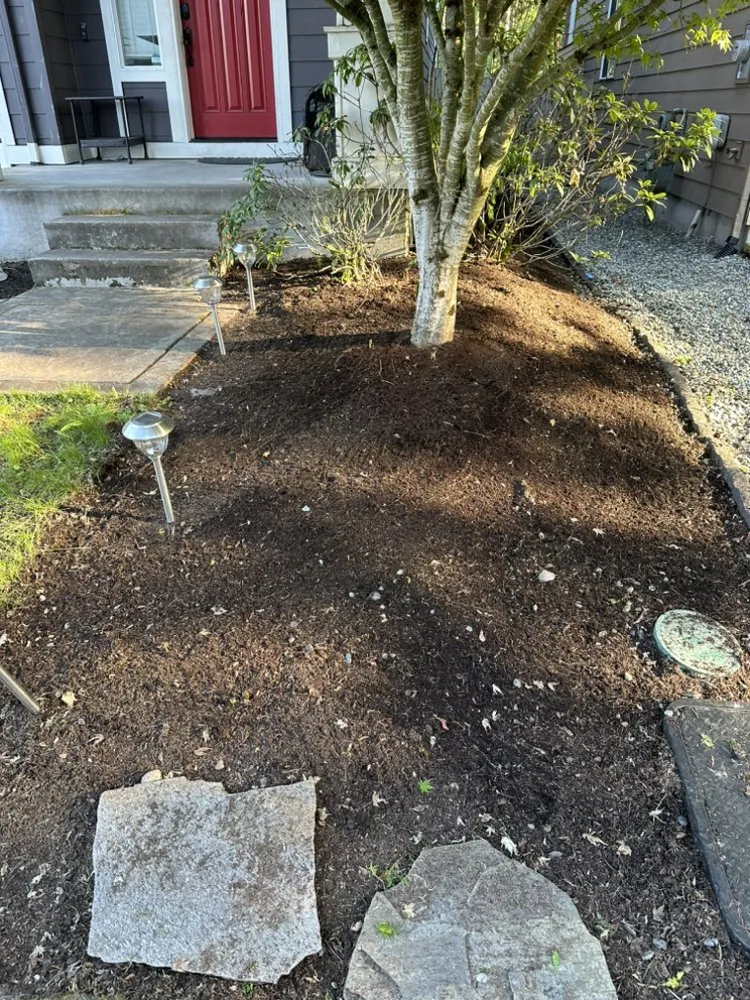 Local lawn mowing service for year-round maintenance in Federal Way, WA by Savvy Landscape & Design