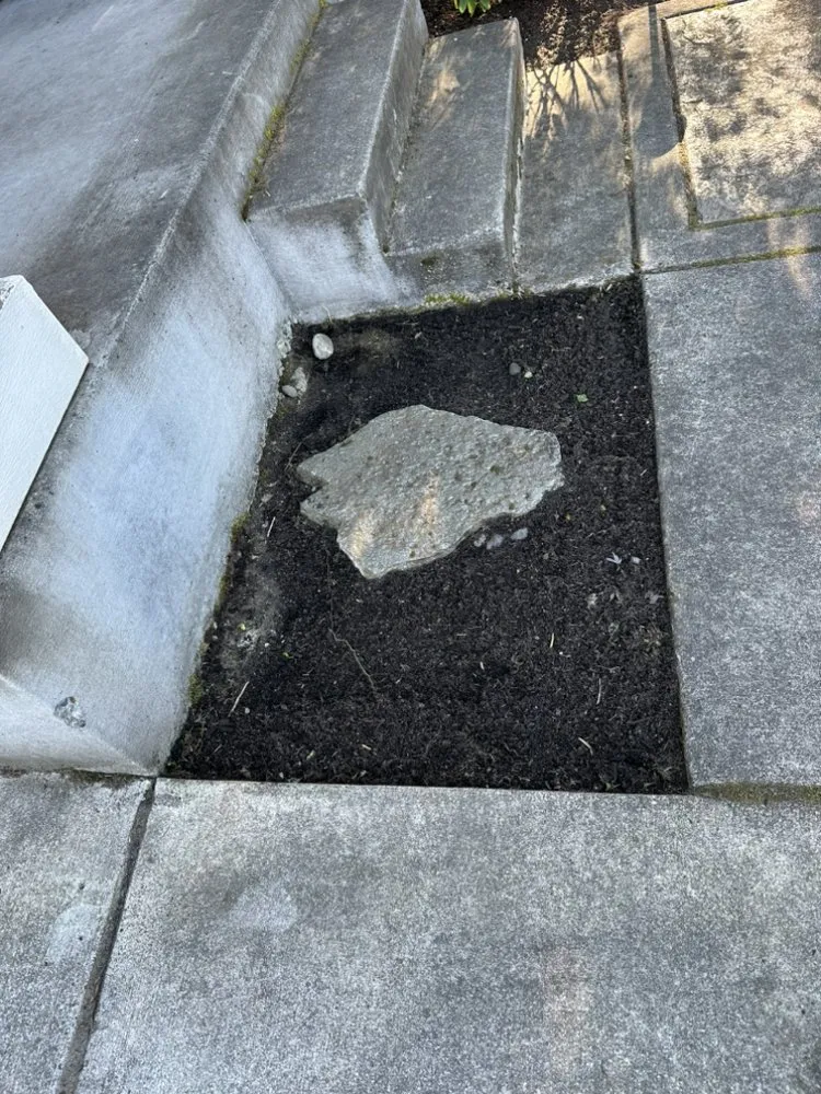 Top-rated landscape installation with custom design in Federal Way, WA by Savvy Landscape & Design