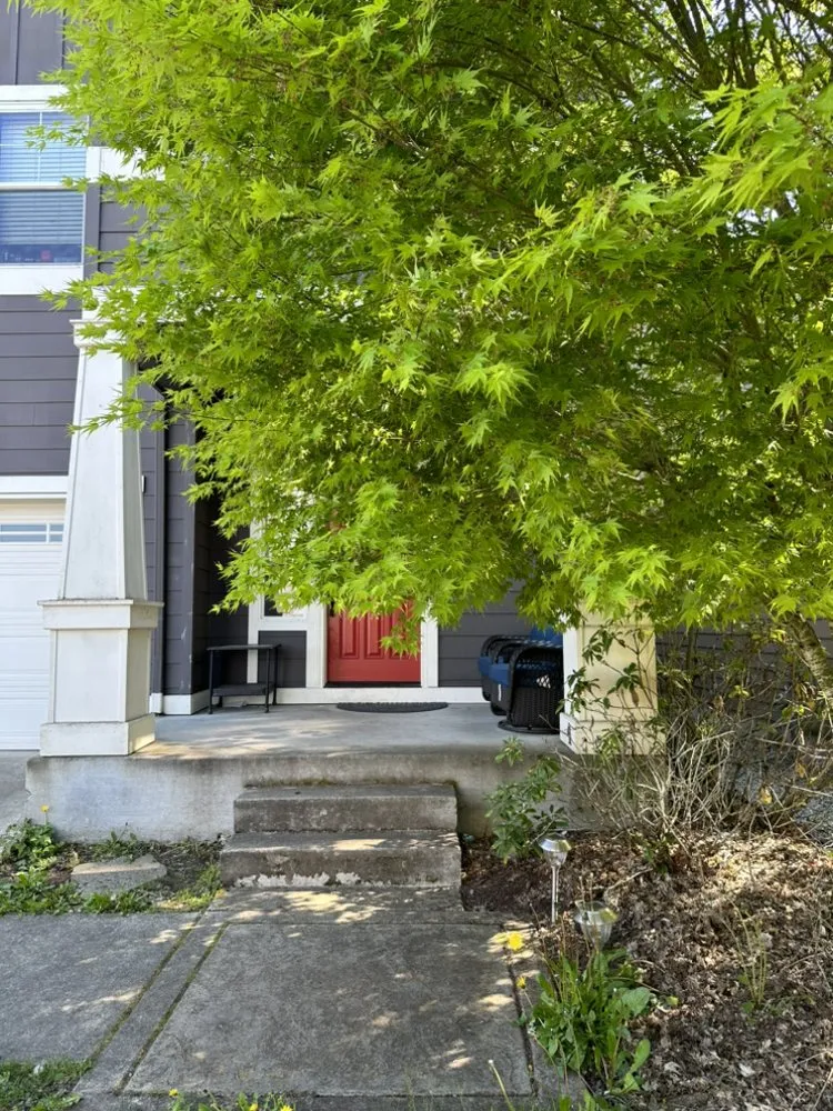 Professional yard cleanup service for beautiful yards in Federal Way, WA by Savvy Landscape & Design