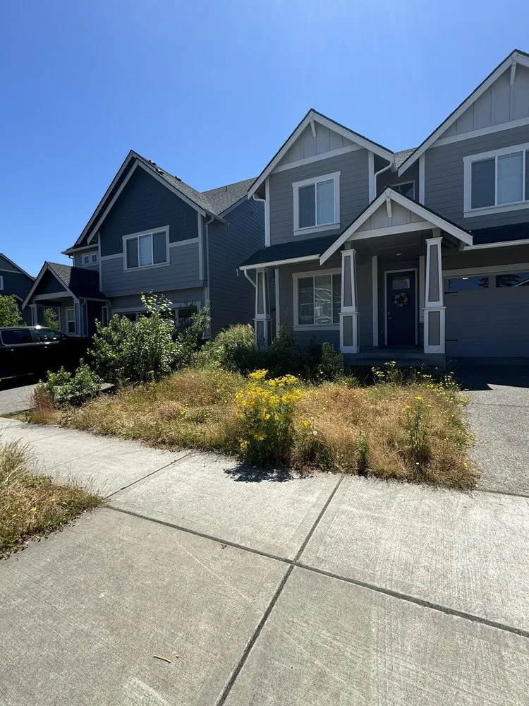 Custom garden landscaping experts serving Federal Way, WA - Savvy Landscape & Design