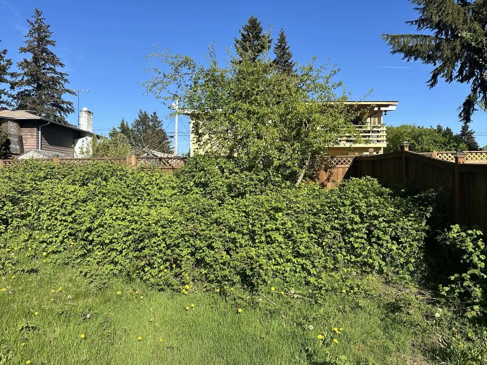 Professional landscape design experts serving Federal Way, WA - Savvy Landscape & Design