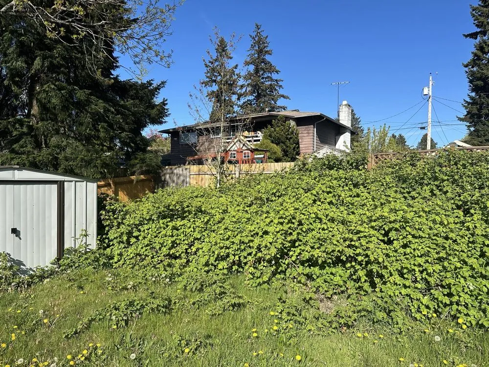 Reliable lawn care service experts serving Federal Way, WA - Savvy Landscape & Design