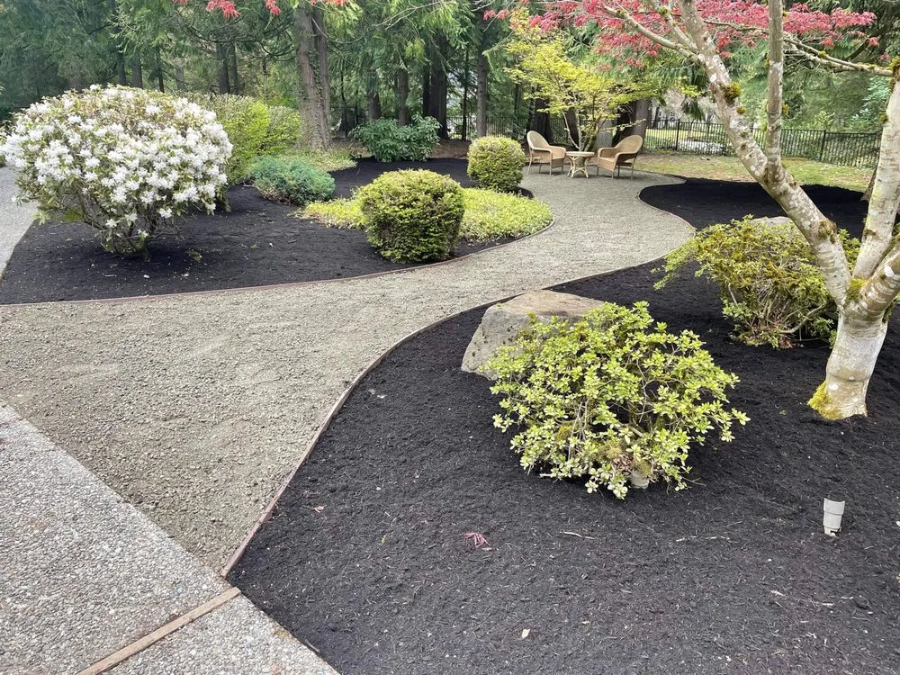 Top-rated yard cleanup service in Federal Way, WA by Savvy Landscape & Design