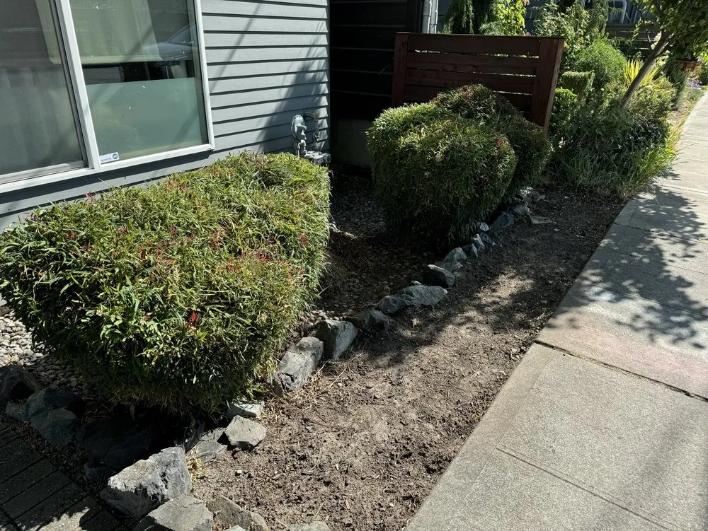Expert yard cleanup service near you across Federal Way, WA - Savvy Landscape & Design