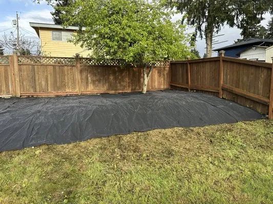 Savvy Landscape & Design Logo