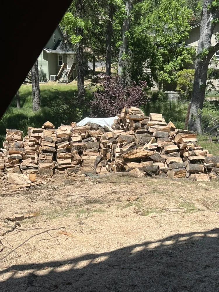 Affordable lawn mowing service for homes in Jamestown, CA by Savvy Outdoor Services