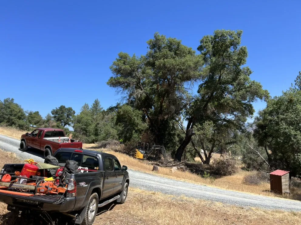 Top-rated residential landscaping experts serving Jamestown, CA - Savvy Outdoor Services