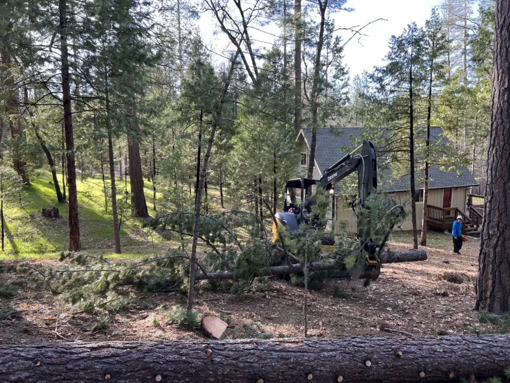 Local yard cleanup service experts serving Jamestown, CA - Savvy Outdoor Services