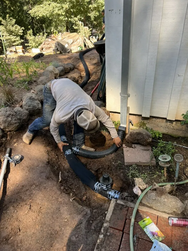 Expert landscaping services in Jamestown, CA by Savvy Outdoor Services