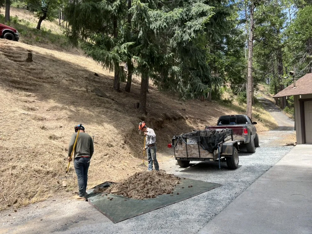 Top-rated garden landscaping for year-round maintenance across Jamestown, CA - Savvy Outdoor Services