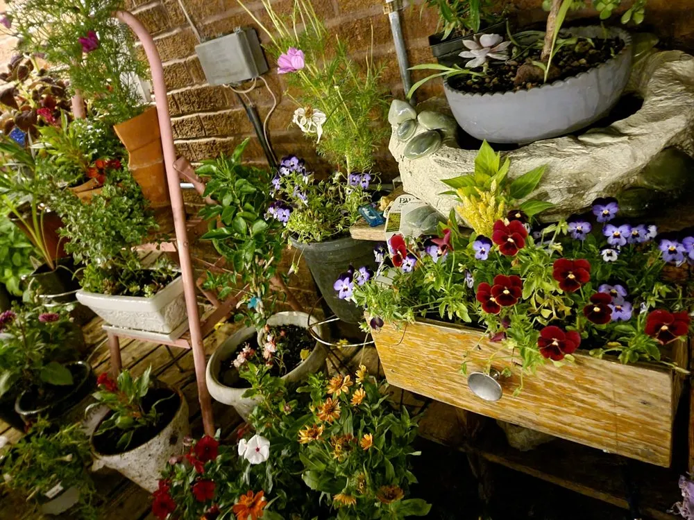 Custom lawn mowing service in Prairie du Chien, WI - Savvythat contracting service