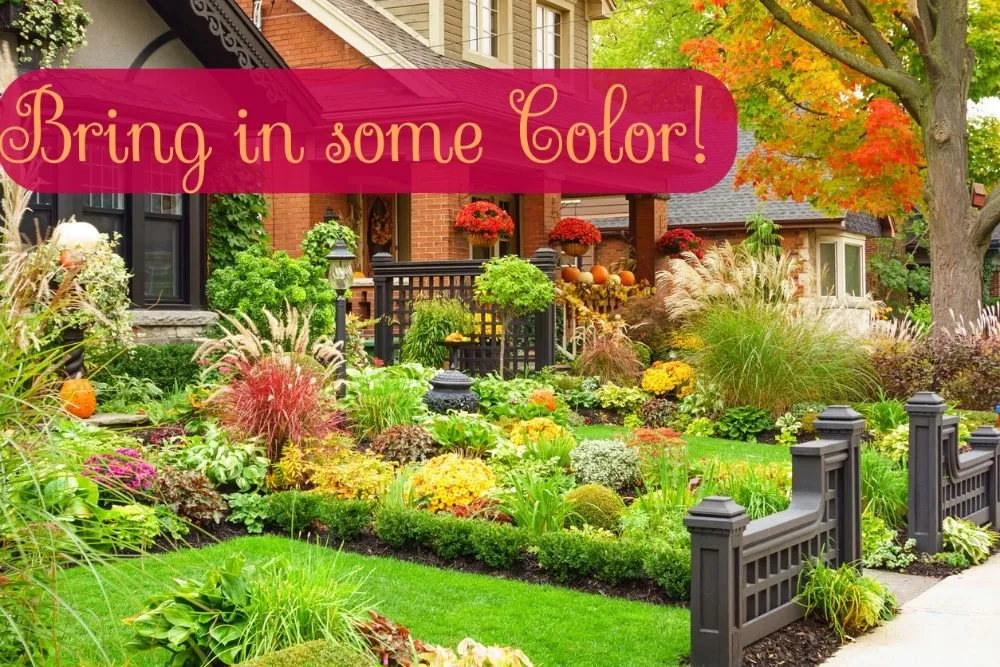 Local landscape installation in Portland, OR by Saw Dogs PDX