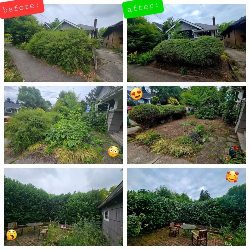 Trusted outdoor landscaping in Portland, OR - Saw Dogs PDX