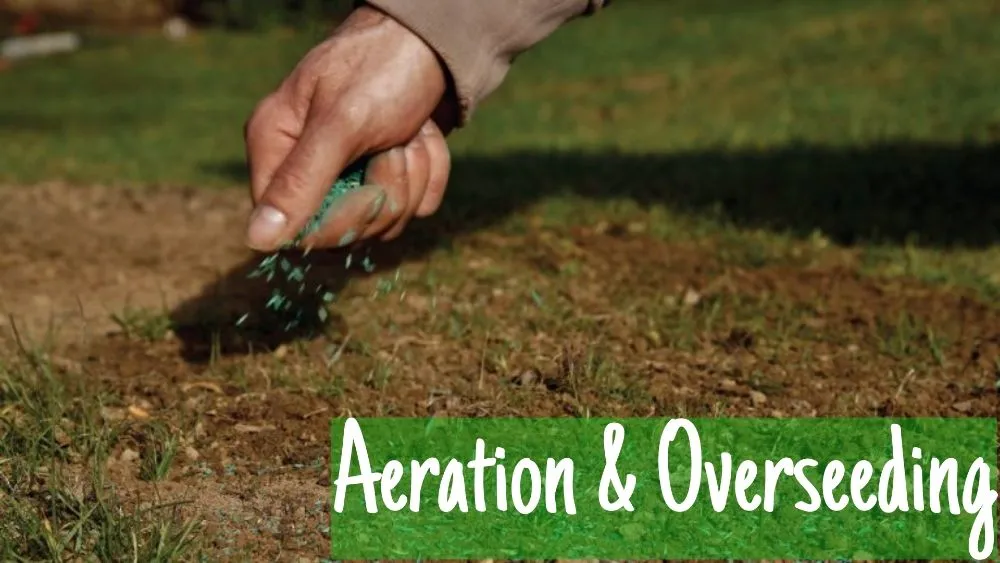 Top-rated residential landscaping in Portland, OR by Saw Dogs PDX