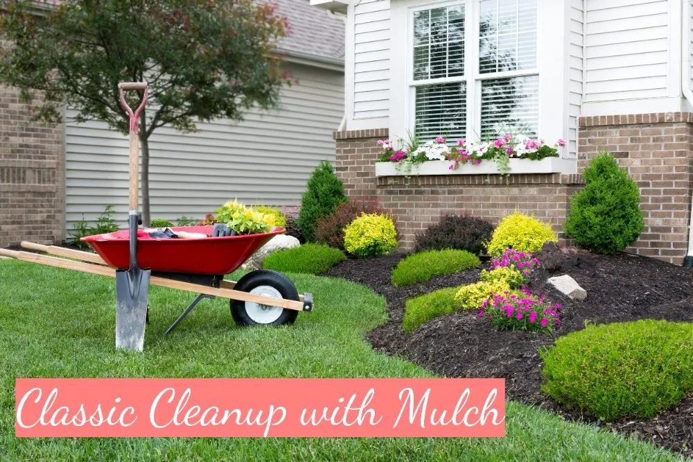 Trusted lawn care service in Portland, OR - Saw Dogs PDX