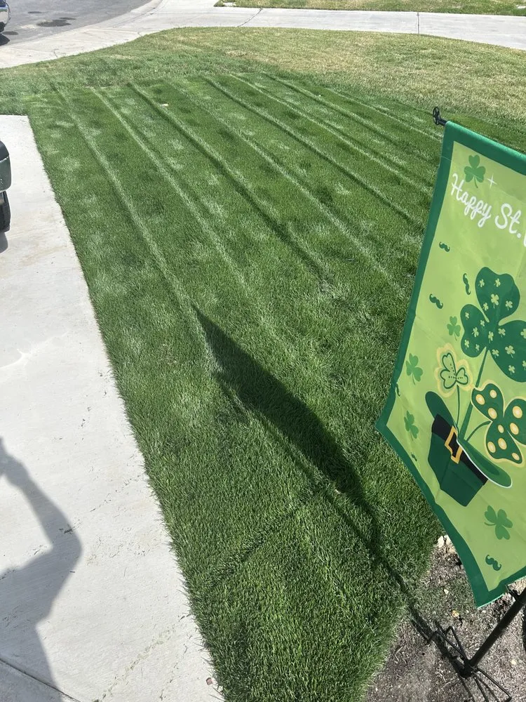 Expert lawn care service in Fallbrook, CA - SAW Landscaping & Hauling