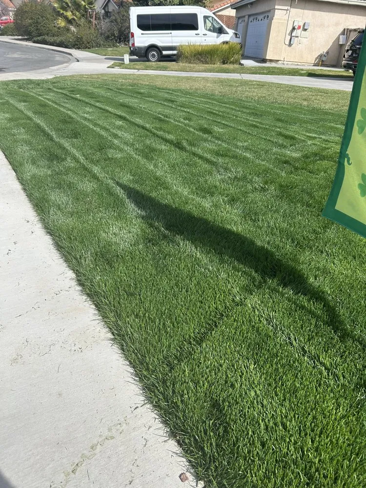 Professional lawn mowing service near you in Fallbrook, CA by SAW Landscaping & Hauling