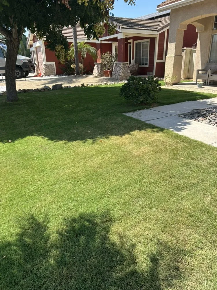 Trusted yard cleanup service experts serving Fallbrook, CA - SAW Landscaping & Hauling