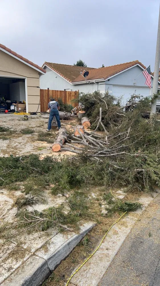 Trusted yard maintenance experts serving Fallbrook, CA - SAW Landscaping & Hauling
