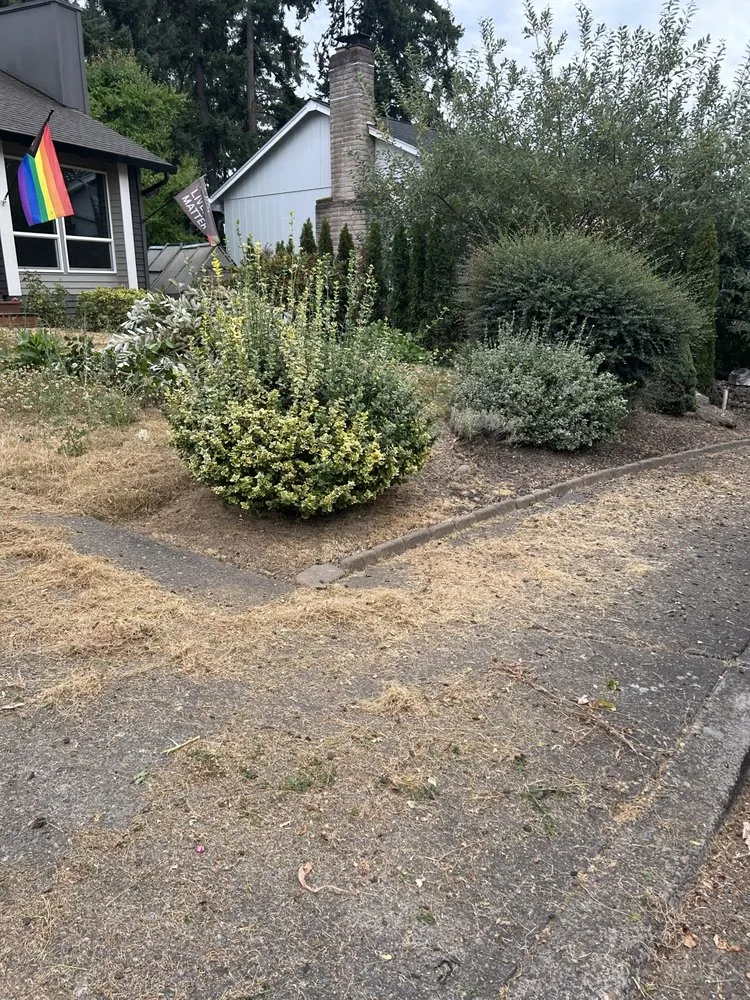 Local yard cleanup service in Portland, OR - Saw Landscaping