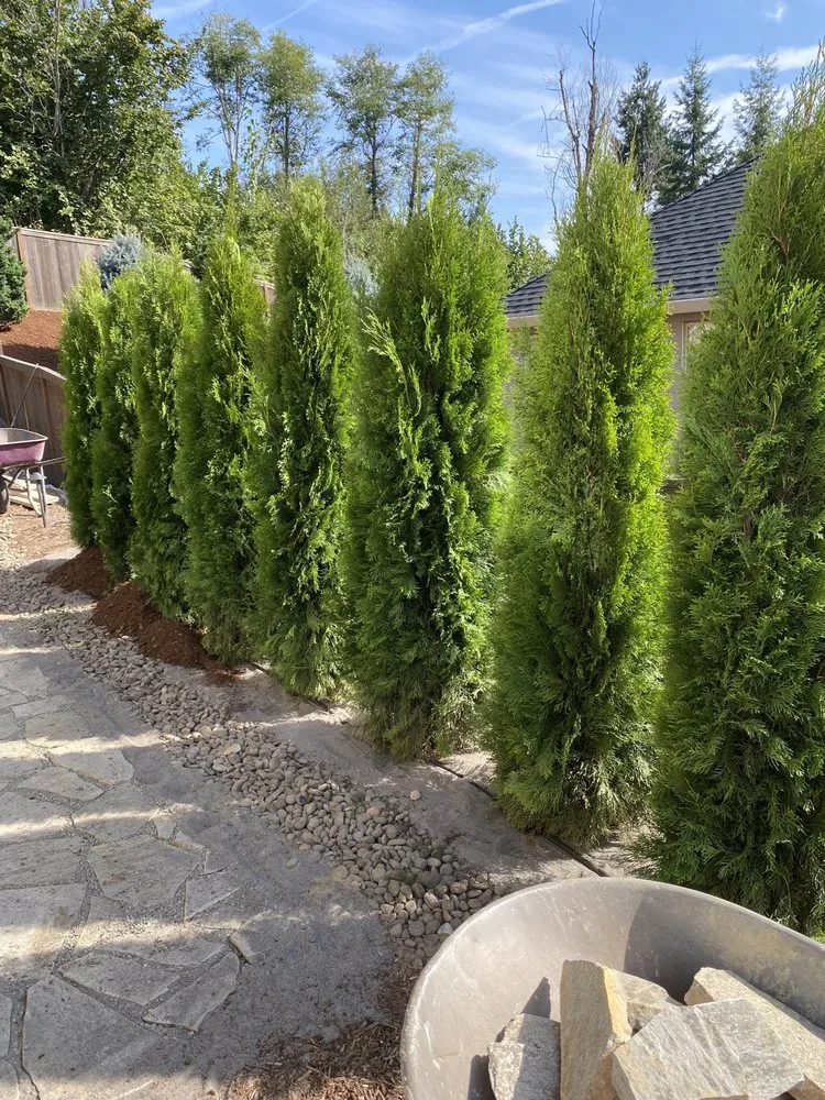 Trusted yard cleanup service in Portland, OR - Saw Landscaping