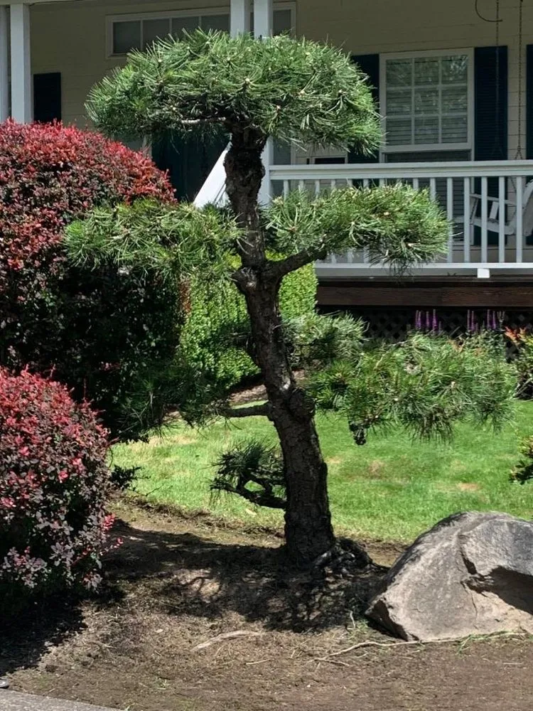 Custom residential landscaping for residential properties in Portland, OR by Saw Landscaping