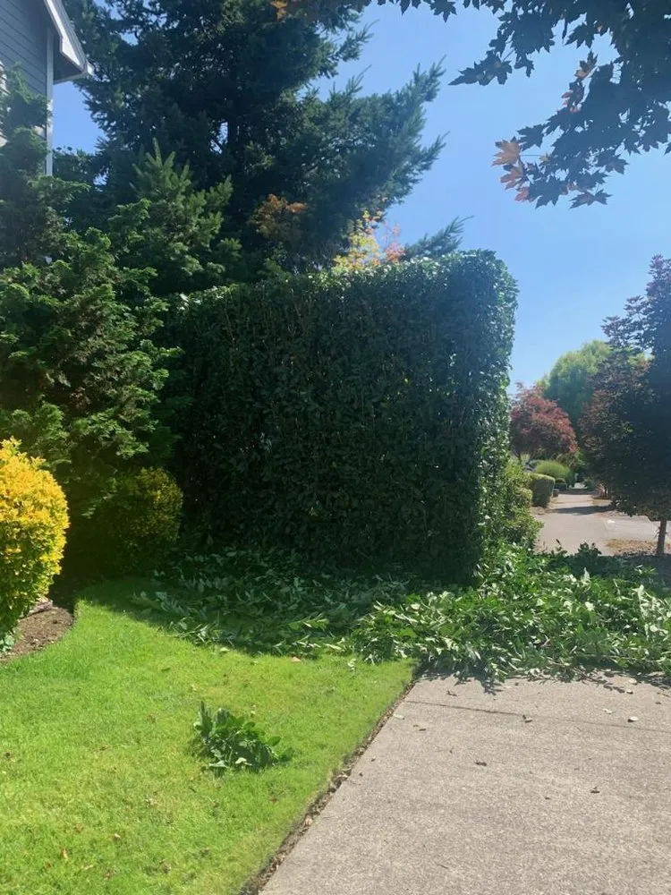 Top-rated garden landscaping in Portland, OR - Saw Landscaping