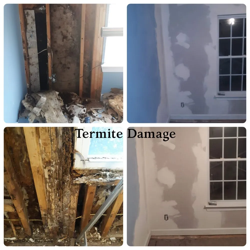 Reliable outdoor landscaping for beautiful yards across Indian Trail, NC - Sawdust And Sunflowers