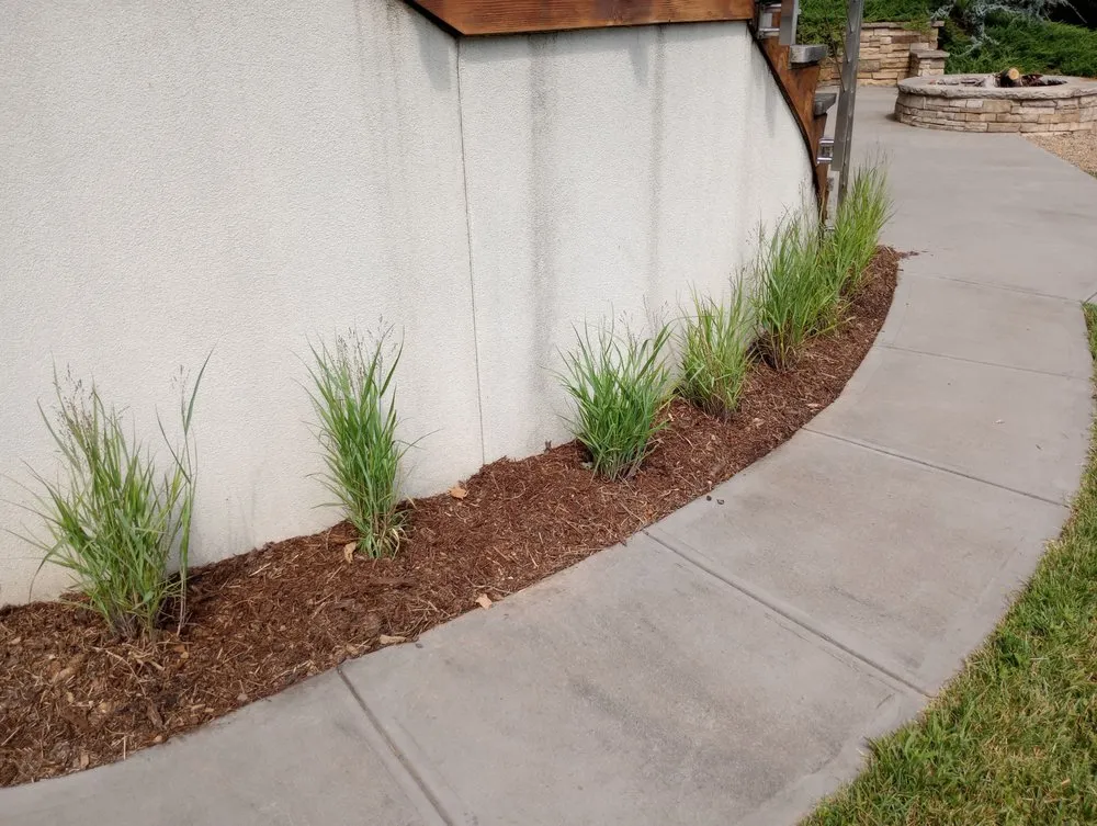 Affordable residential landscaping in Indian Trail, NC by Sawdust And Sunflowers