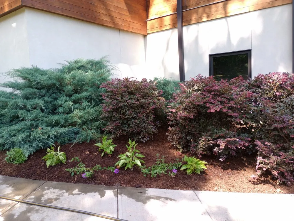 Professional yard cleanup service for beautiful yards in Indian Trail, NC by Sawdust And Sunflowers